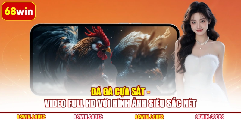 Đá Gà Cựa Sắt - Video Full HD Với Hình Ảnh Siêu Sắc Nét
