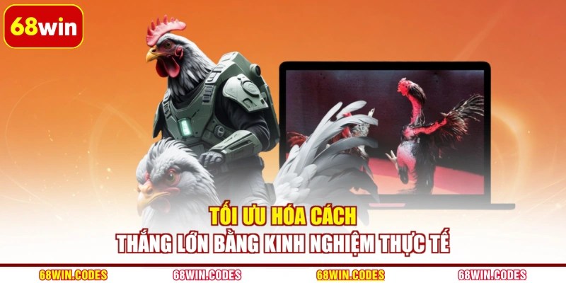Tối ưu hóa cách thắng lớn bằng kinh nghiệm thực tế